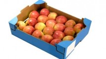 Ящики для овочів та фруктів